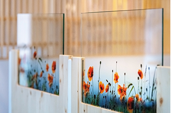 Séparation des espaces grâce à des vitres design transparentes, décorées de coquelicots