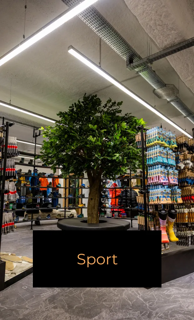 Edifix Agencement Interieur Brest Sport 1 1